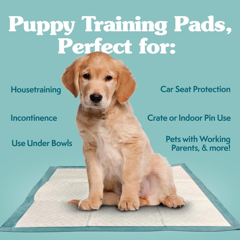 Simple Solution Puppy Training Pads â€“ Large Leak-Proof Potty Pads for Dogs â€“ Disposable with Odor Control and Absorbent Core for Floor Protection â€“ 23 x 24 Inches â€“ 100 Count - Image 2